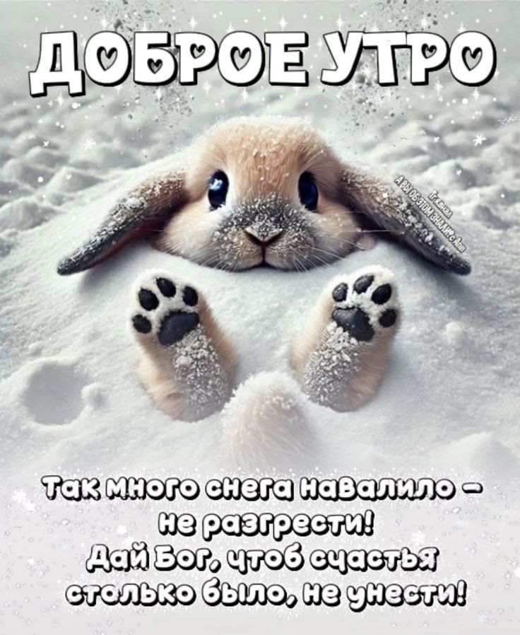 Доброе утро. Так много снега навалило - не растерси! Дай Бог, чтоб счастья столько было, не унывай!