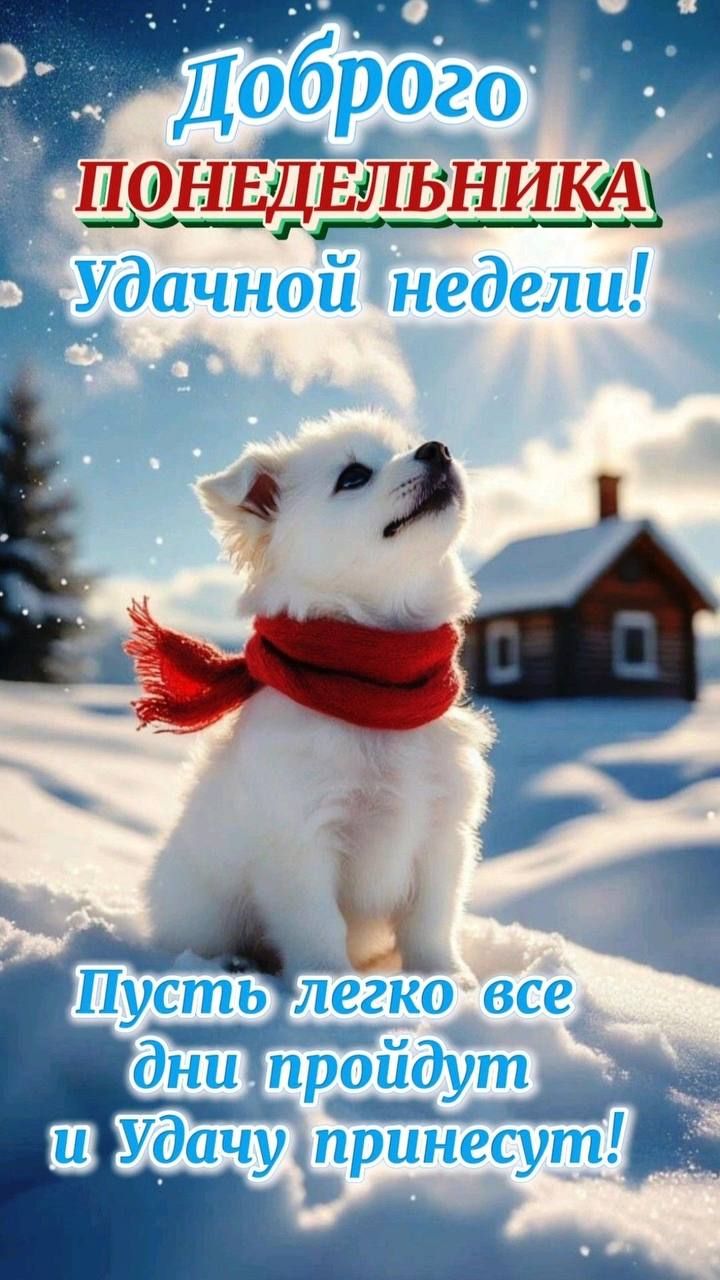 Доброго понедельника Удачной недели! Пусть легко все дни пройдут и удачу принесут!