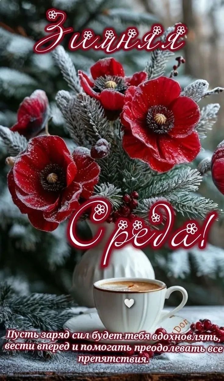 Зимняя Среда! Пусть заряд сил будет тебя вдохновлять, вести вперед и помогать преодолевать все препятствия.
