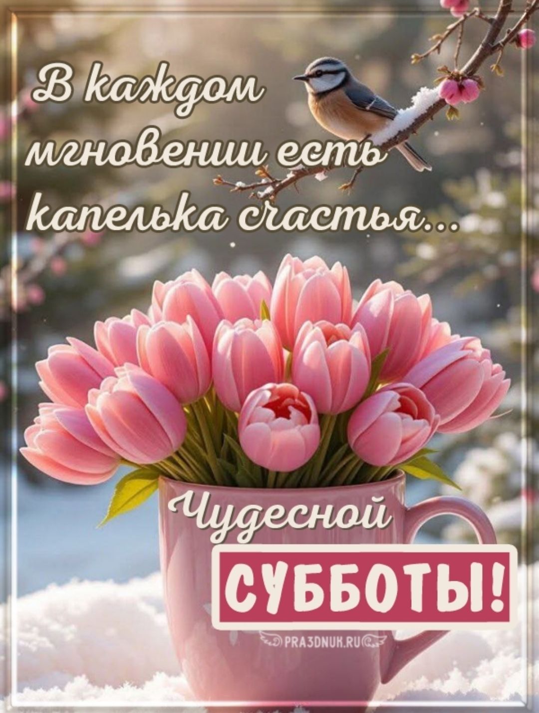 В каждом мгновении есть капелька счастья... Чудесной СУББОТЫ!