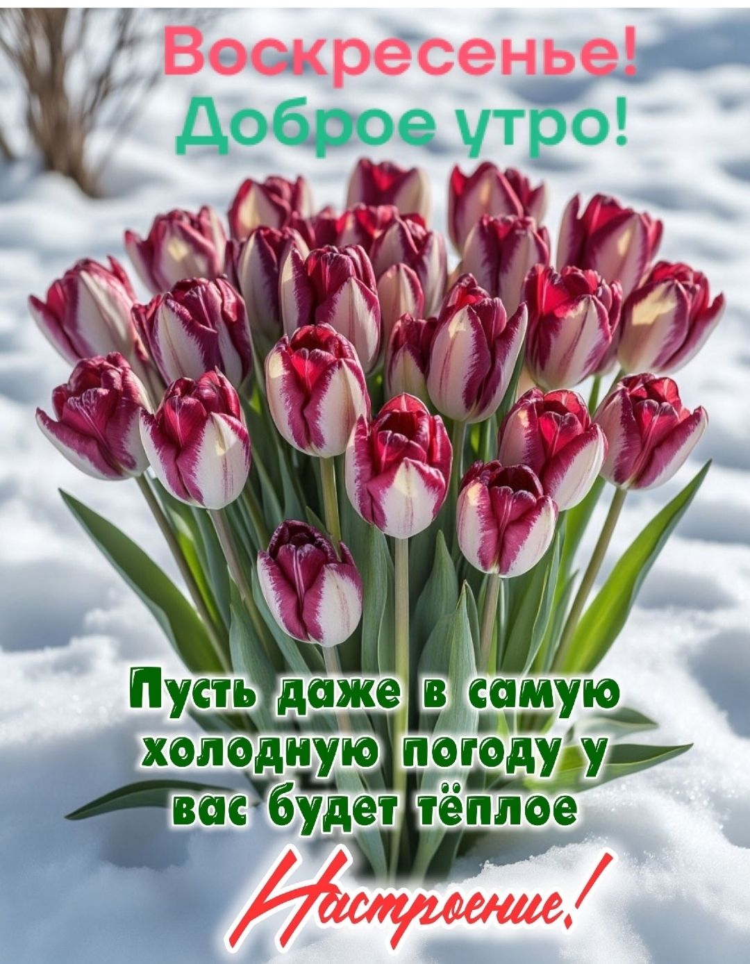 Воскресенье! Доброе утро! Пусть даже в самую холодную погоду у вас будет тёплое настроение!