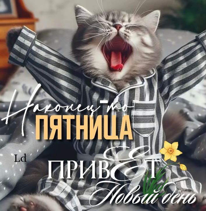 Наконец-то ПЯТНИЦА\nПРИВЕТ новый день