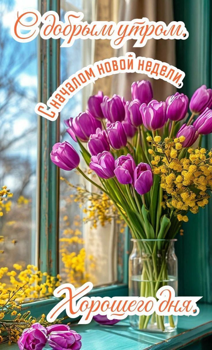 С добрым утром, С началом новой недели, Хорошего дня