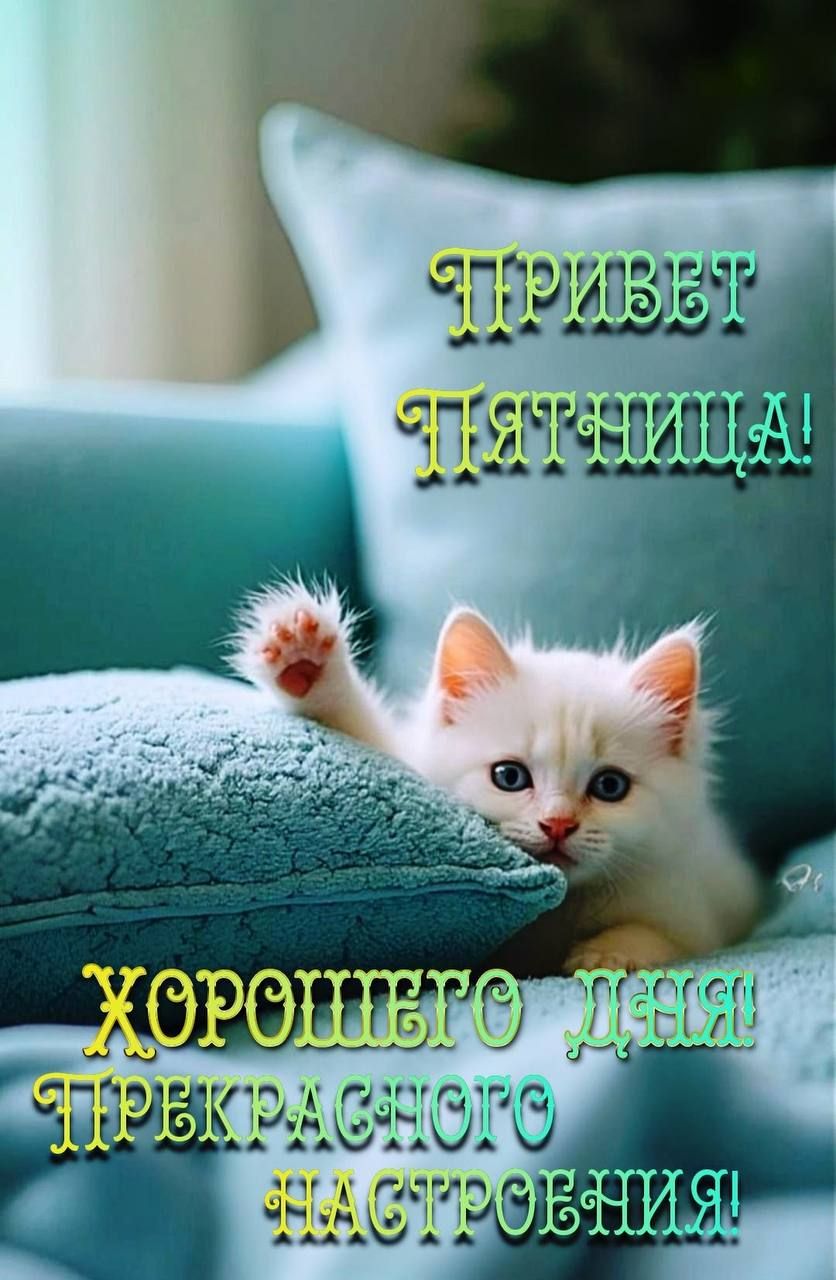 ПРИВЕТ ПЯТНИЦА! Хорошего дня прекрасного настроения!