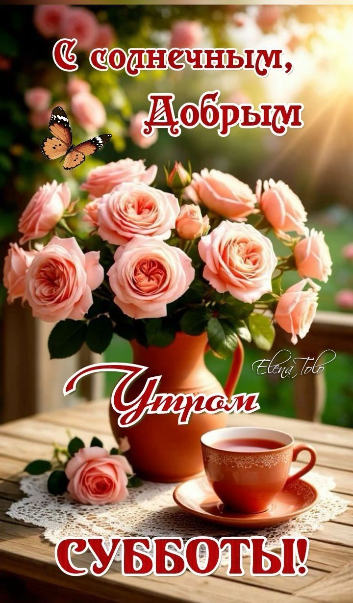 С солнечным, Добрым утром субботы!