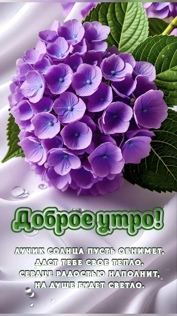 Доброе утро! Лучик солнца пусть объмнит, пусть тебе тепло, сердце радостью наполнит, на душу будет светло.