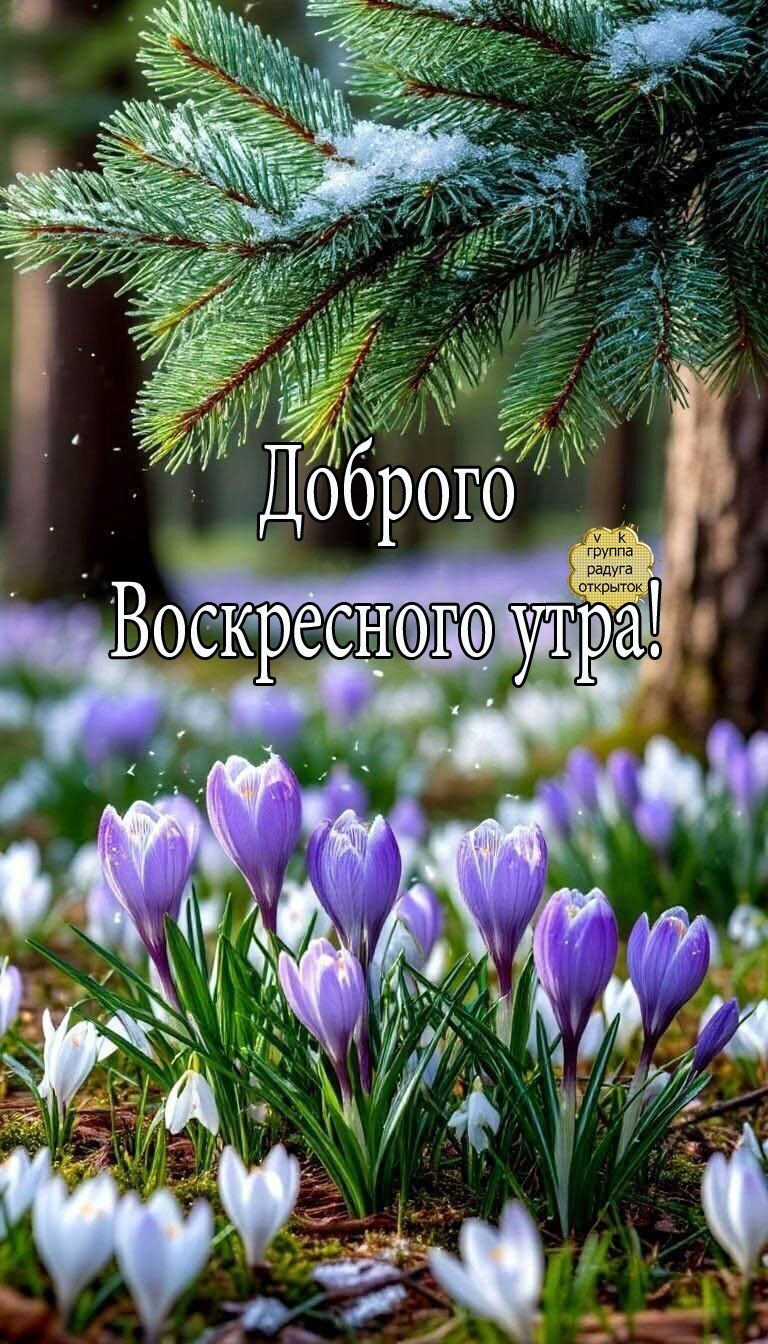 Доброго Воскресного утра!