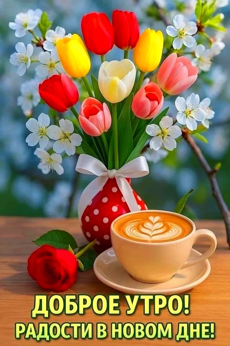 ДОБРОЕ УТРО! РАДОСТИ В НОВОМ ДНЕ!