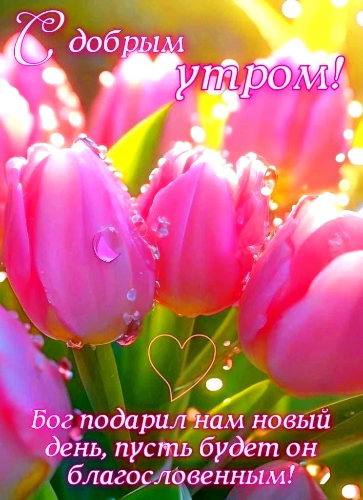 С добрым утром! Бог подарил нам новый день, пусть будет он благословенным!