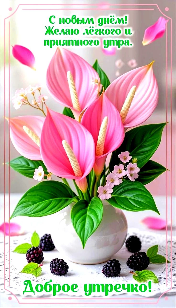 С новым днём! Желаю лёгкого и приятного утра. Доброе утречко!