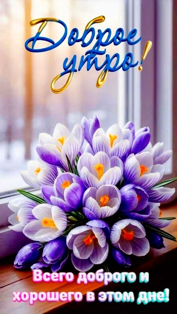 Доброе утро! Всего доброго и хорошего в этом дне!