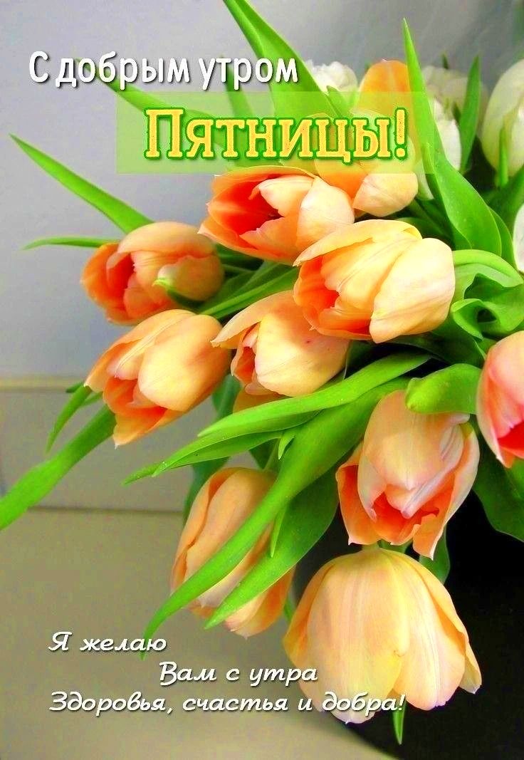 С добрым утром Пятницы! Я желаю Вам с утра Здоровья, счастья и добра!