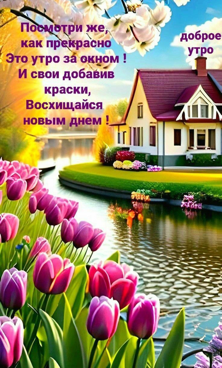 Посмотри же, как прекрасно Это утро за окном! И свои добавив краски, Восхищайся новым днем! доброе утро