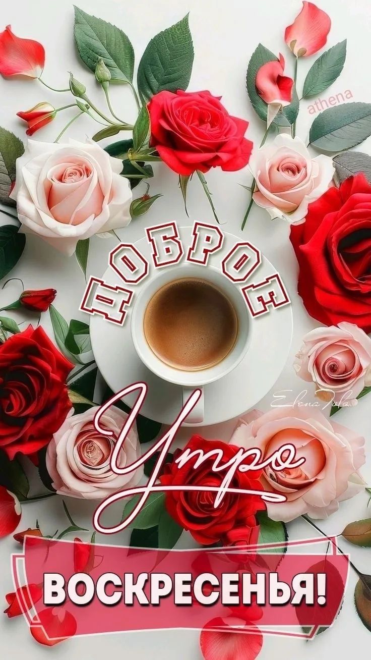 ДОБРОЕ Утро ВОСКРЕСЕНЬЯ!