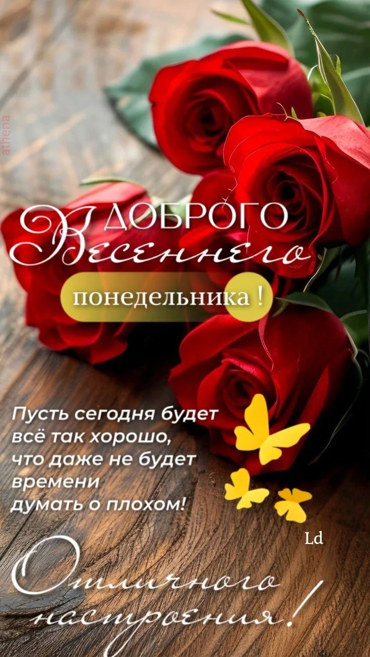 ДОБРОГО Весеннего понедельника! Пусть сегодня будет всё так хорошо, что даже не будет времени думать о плохом! Отличного настроения!