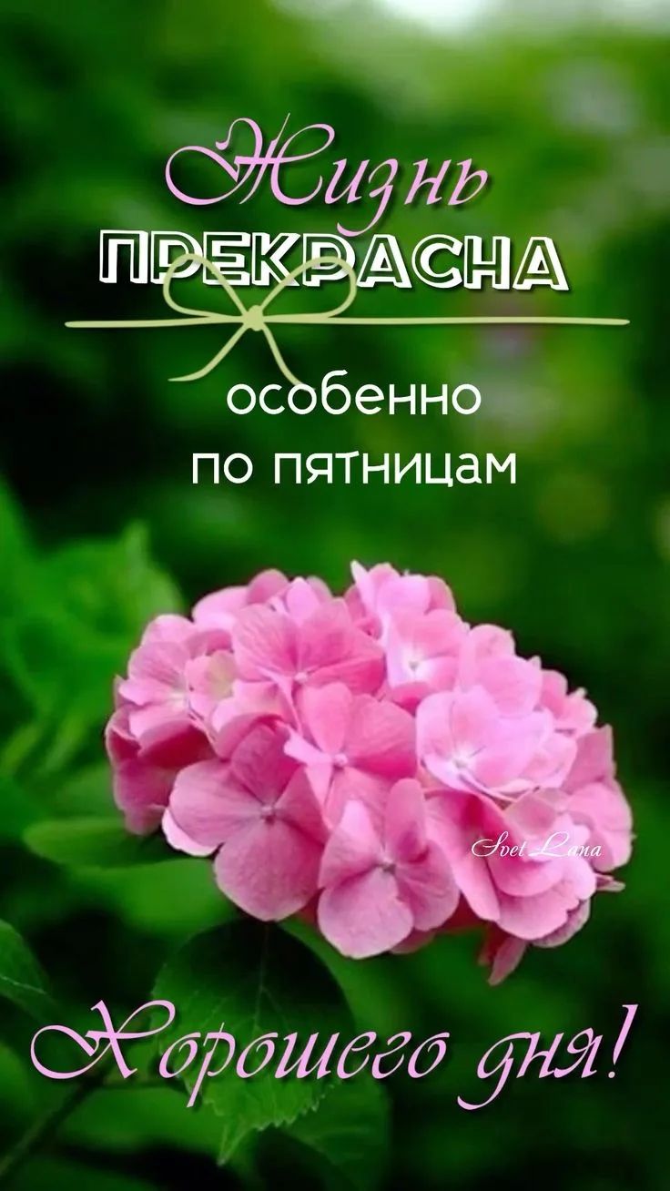Жизнь ПРЕКРАСНА особенно по пятницам Хорошего дня!