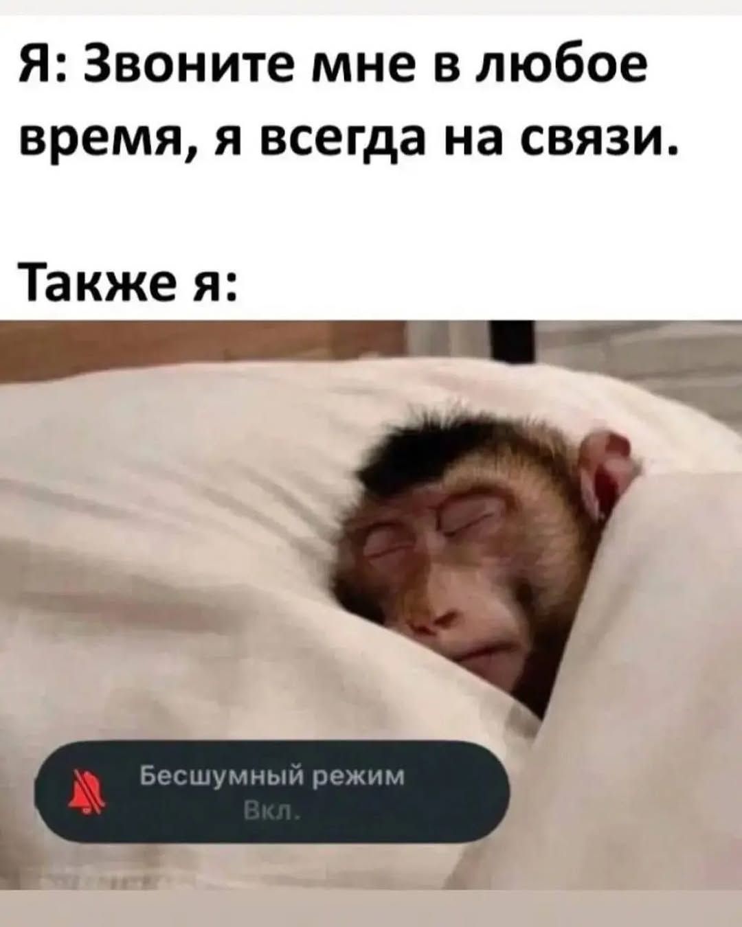 Я: Звоните мне в любое время, я всегда на связи. Также я: Бесшумный режим Вкл.