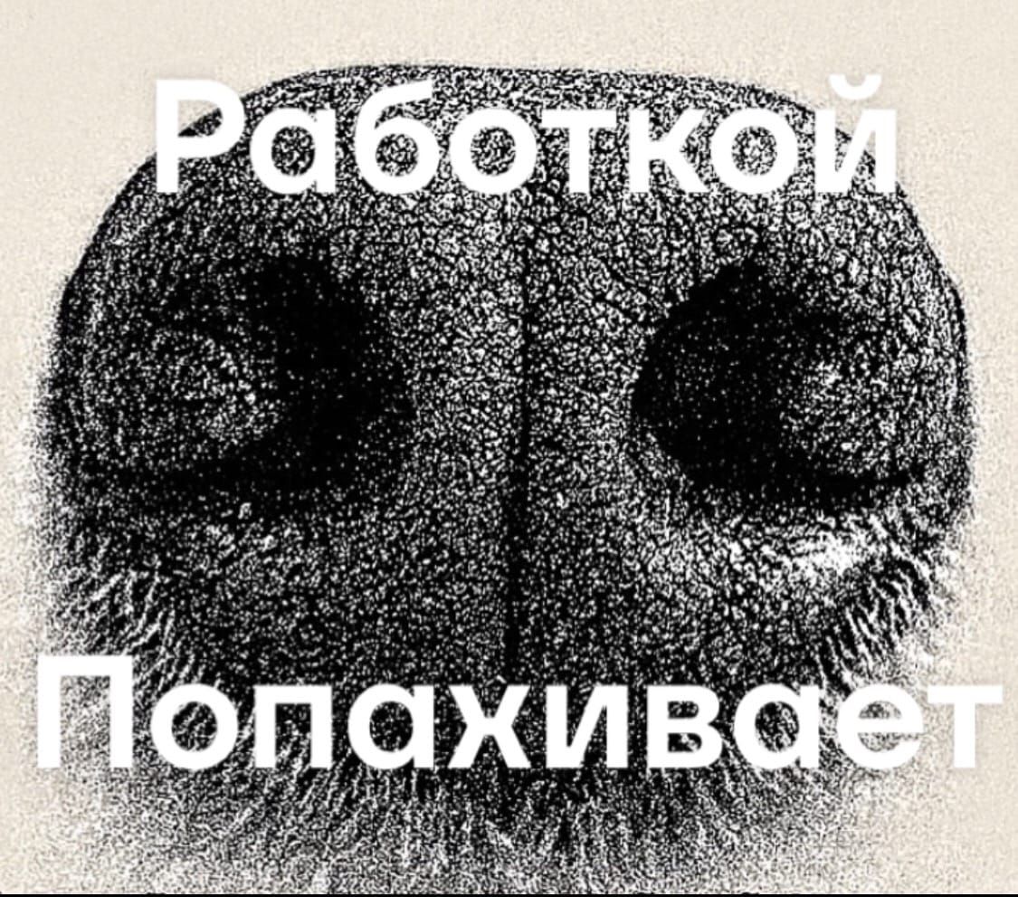 Работкой Попахивает