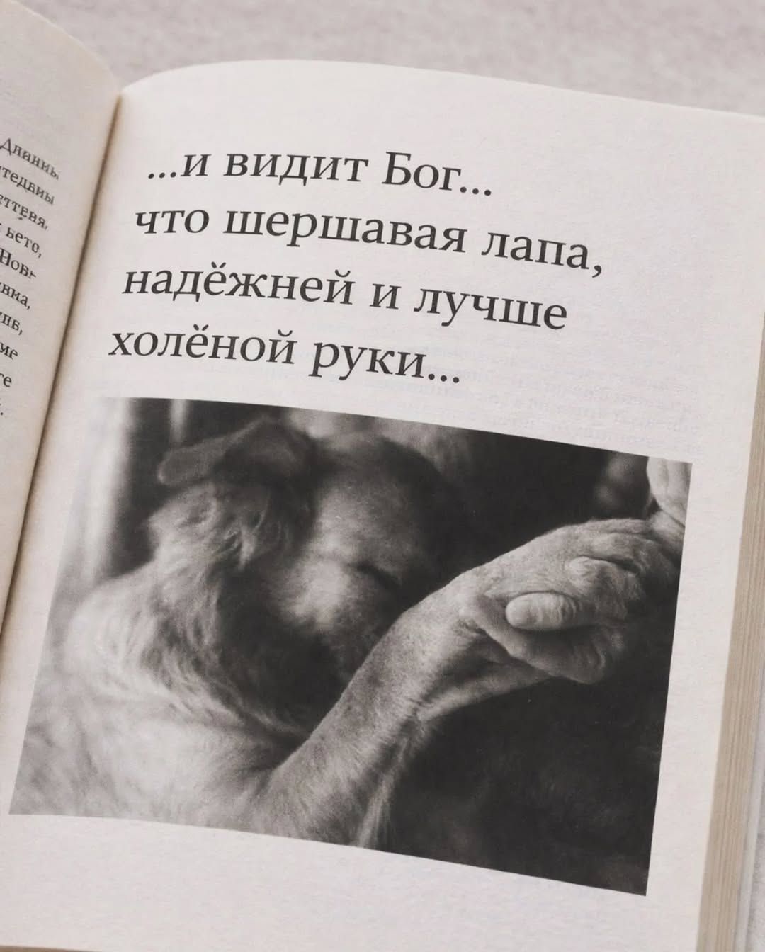 ...И ВИДИТ БОГ... что шершавая лапа, надёжней и лучше холёной руки...