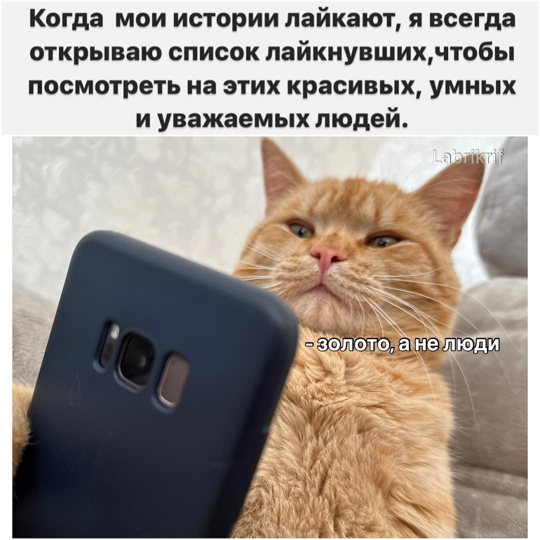 Когда мои истории лайкают, я всегда открываю список лайкнувших, чтобы посмотреть на этих красивых, умных и уважаемых людей. - золото, а не люди