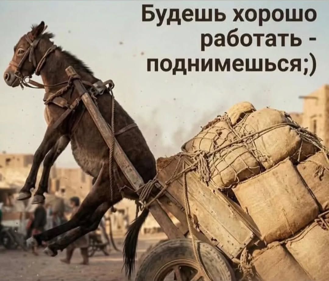 Будешь хорошо работать - поднимешься;)