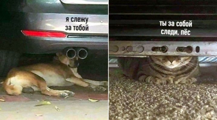 я слежу за тобой