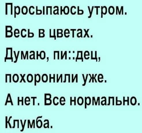 Просыпаюсь утром Весь в цветах Думаю пидец похоронили уже А нет Все нормально Клумба