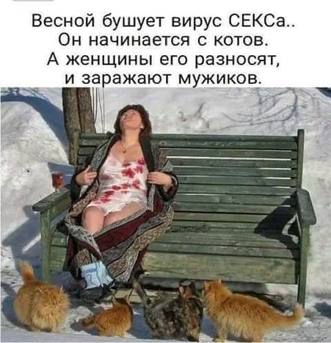 Весной бушует вирус СЕКСа Он начинается с котов А женщины его разносят и заражают мужиков
