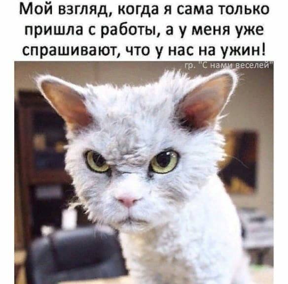 Мой взгляд когда я сама только пришла с работы а у меня уже спрашивают что у нас на ужин
