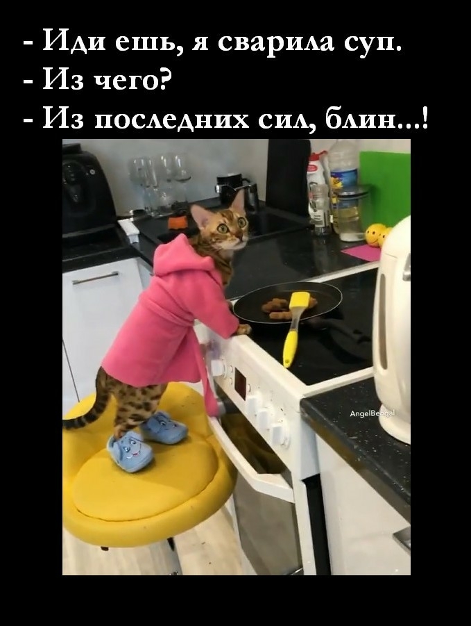 Иди ешь я сваршха суп Из чего Из ЦОСАеАних ерш были