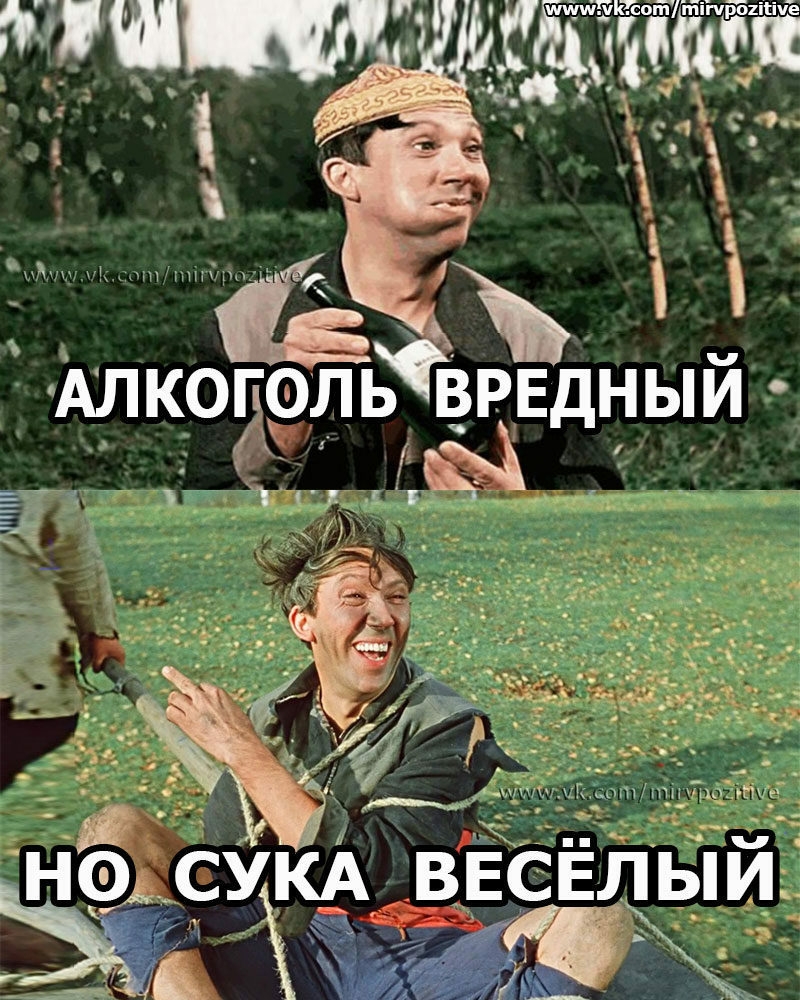ВЕСЕЛЫЙ сука