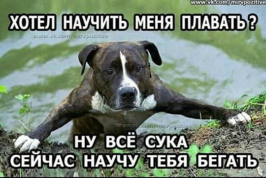 Ер АС НАУЧУ