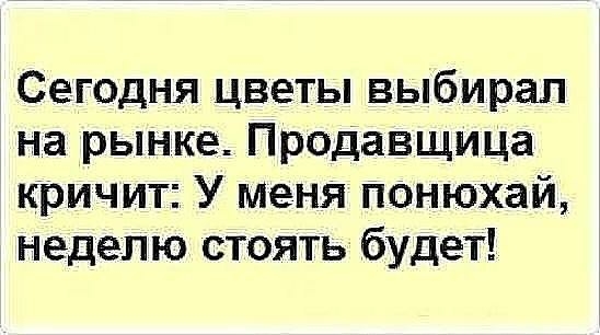Сегодня цветы выбирал на рынке Продавщица кричит У меня понюхай неделю стоять будет