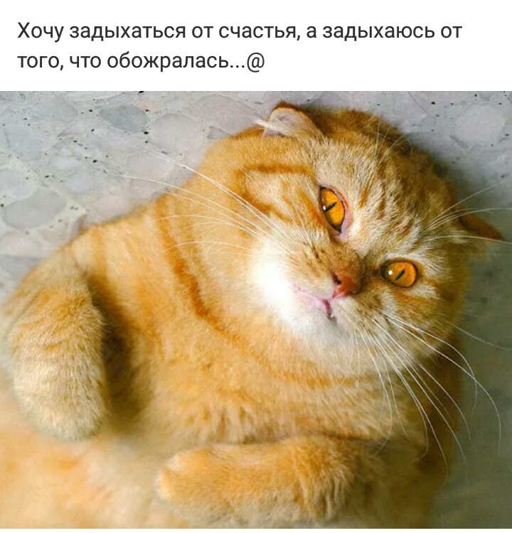 Хочу задыхаться от счастья 3 задыхаюсь от того что обожралась