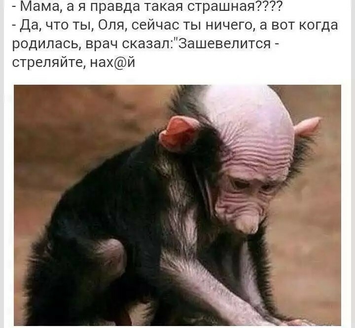 Мама а я правда такая страшная Да что ты Оля сейчас ты ничего а вот когда родилась врач сказалЗашевелится стреляйте нахй