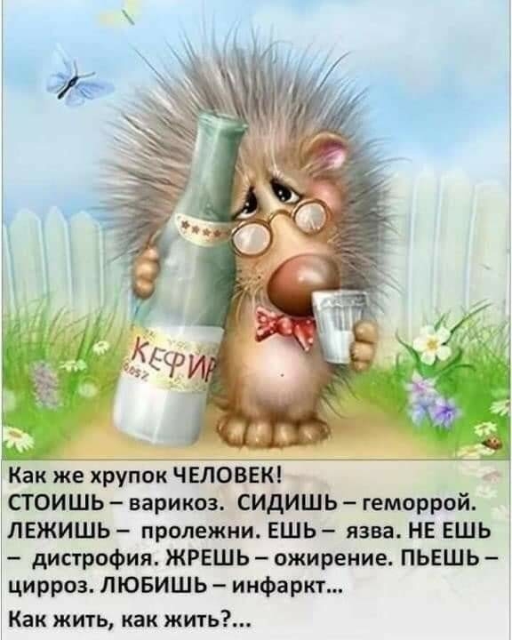 Как же хрупок ЧЕЛОВЕК СТ ОИШЬ варикоз сидишь геморрой ЛЕЖИШЬ пролежни ЕШЬ язва НЕ ЕШЬ дистрофия ЖРЕШЬ ожирение ПЬЕШЬ цирроз ЛЮБИШЬ инфаркт Как жить как жить