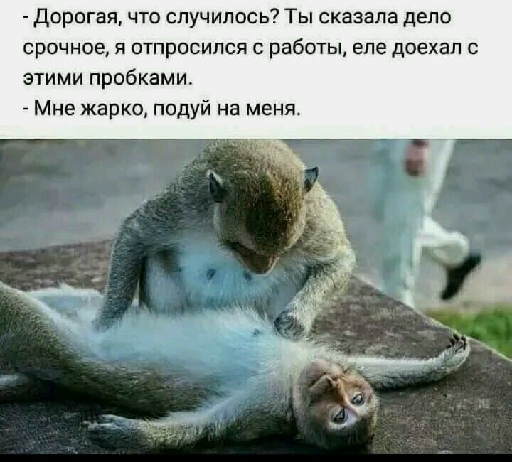 дорогая что случилось Ты сказала дело срочное я отпросился с работы еле доехал с этими пробками Мне жарко подуй на меня