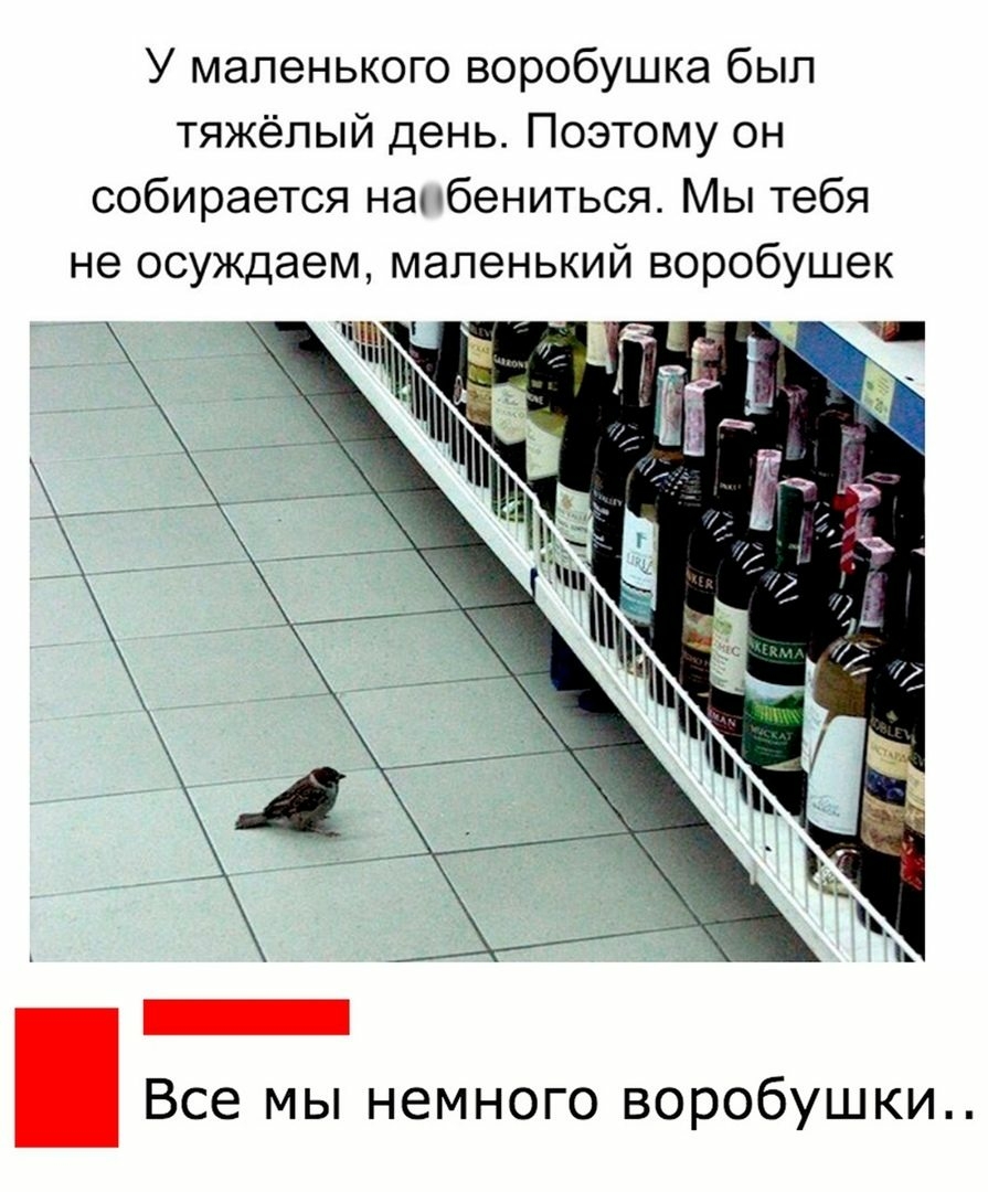 У маленького воробушка был тяжёлый день Поэтому он собирается на бениться Мы тебя не осуждаем маленький воробушек Все мы немного воробушки