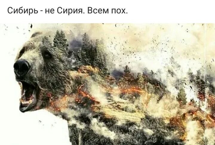 Сибирь не Сирия Всем пох