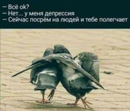 Все ок Нет у меня депрессия Сейчас посрем на людей и тебе полегчает