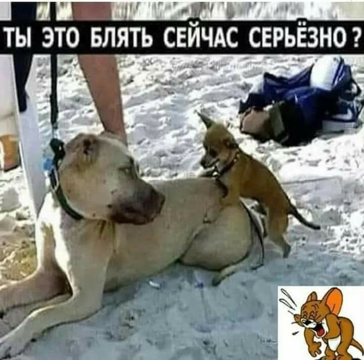 ТЫ ЭТО БЛЯТЬ СЕИЧАССЕРЬЕЗНО