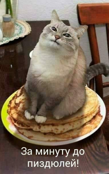 За минуту до пиздюлей жд