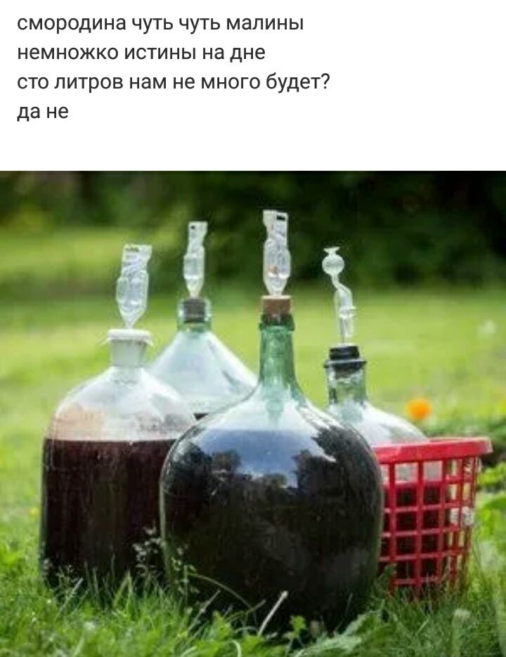 смородина чуть чуть малины немножко истины на дне сто литров нам не много будет да не