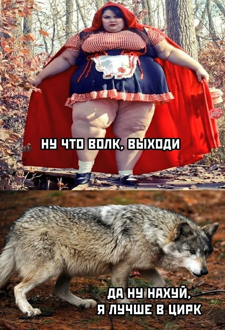 _ дд ННіННХНИ П ПНЧЩЕ В ЦИРК