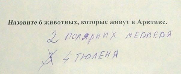 Назовите 6 животных которые живут в Арктике 02 ПОЛЯ317 И 1Ё02 ЕД Я полЯ