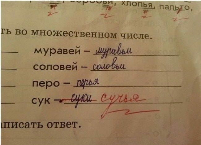 мчит хпопьізь ПЗто Ь ГЬ ВО множественном числе _ муравей _ соловей _ перо дим_ _ СУК иЪ ЩИСЭЛЬ ОТВЕТ