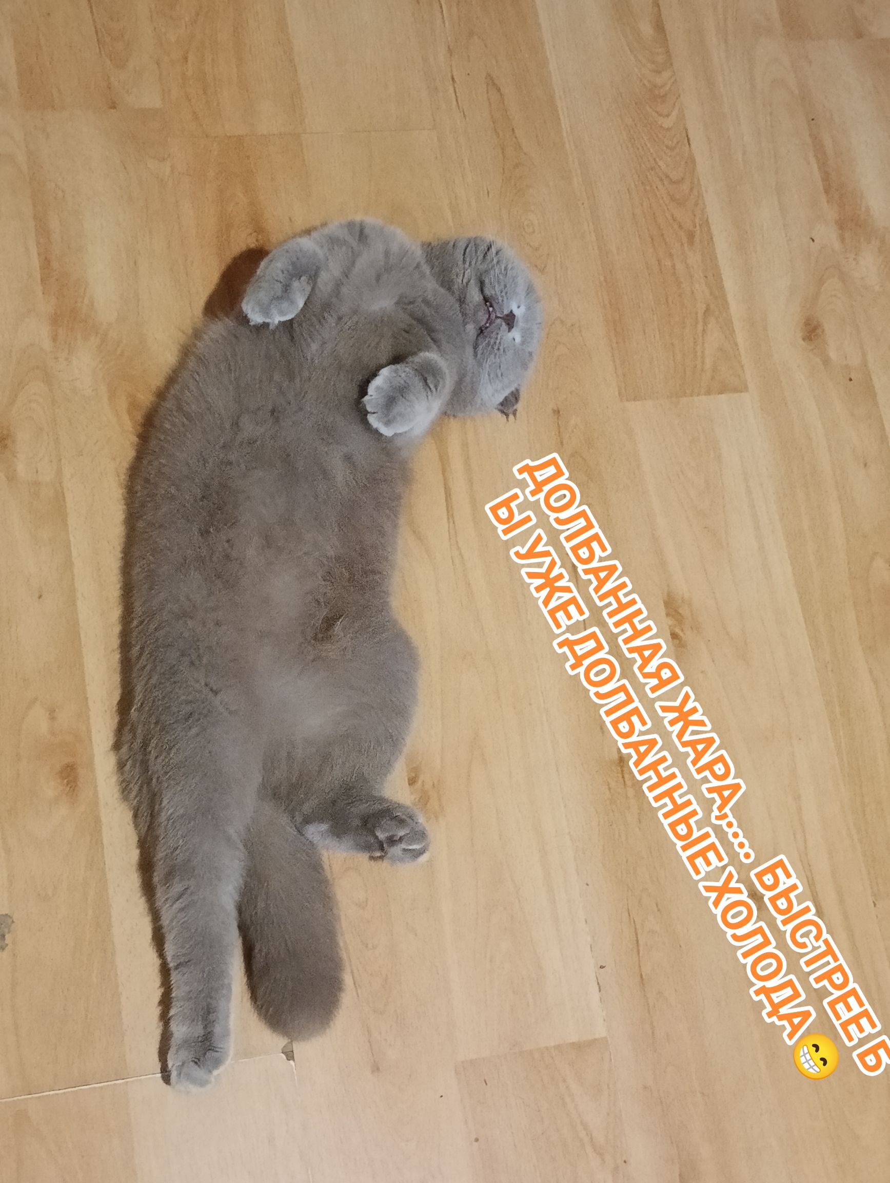 ДОЛБАННАЯ ЖАРА... Быстрее б вы уже ДОЛБАННЫЙ ХОЛОД! 😄