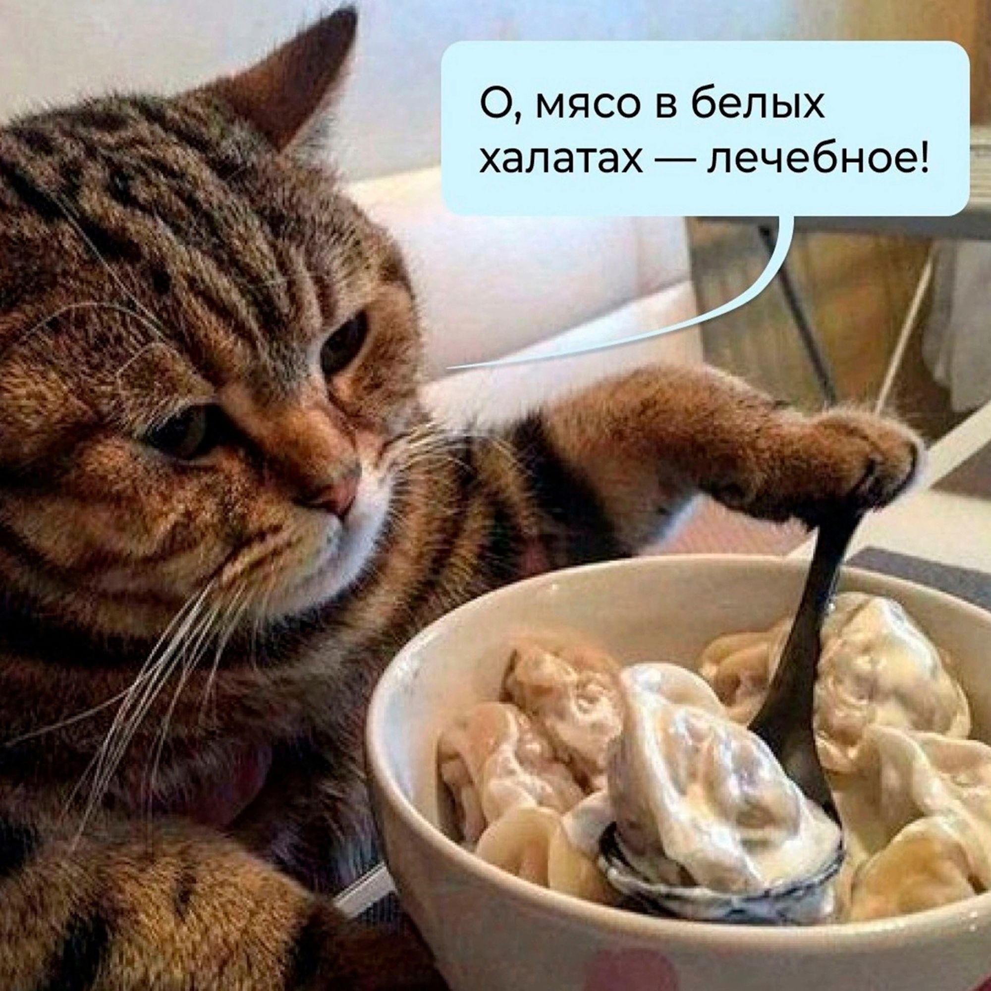 О мясо в белых халатах лечебное