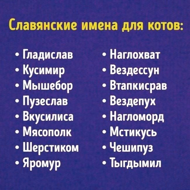 славянские имена для КОТОВ Гладислав Кусииир Мышебор Пузеслав Вкусиписа Мясополк Шерстикои Яроиур Наглохват Вездессуи Втапкисрав Вездепух Нагпоморд Мстикусь Чешипуз Тыгдымил