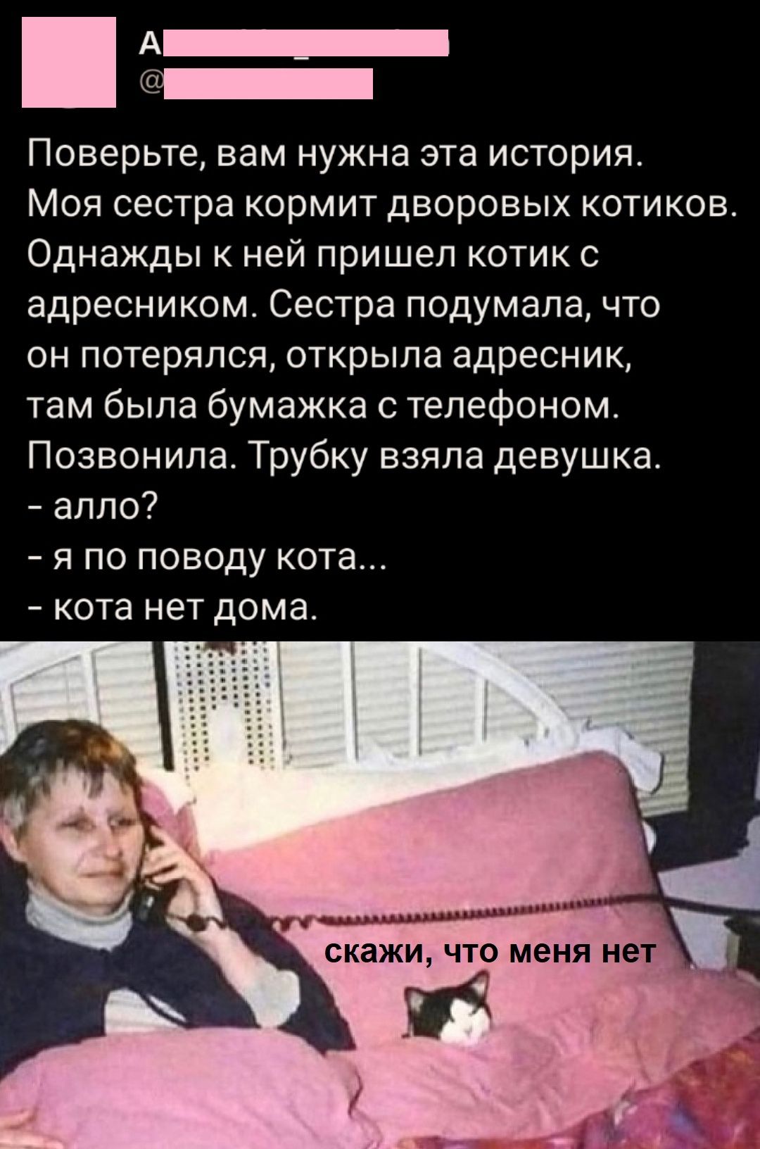 А _ Поверьте вам нужна эта история Моя сестра кормит дворовых котиков Однажды к ней пришел котик адресником Сестра подумала что он потерялся открыла адресник там была бумажка телефоном Позвонила Трубку взяла девушка аппо _ Я ПО ПОВОДУ КОТЭ кота НЕТ дома